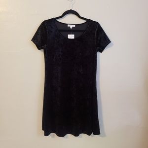 Black Velvet Mini Dress NWT